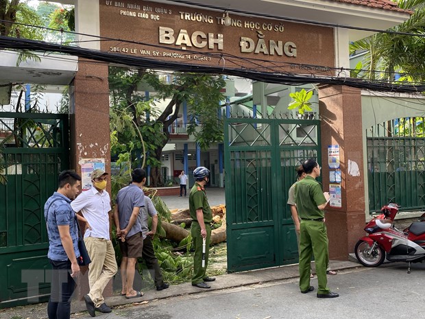 Bộ Giáo dục - Đào tạo chỉ đạo về an toàn trường học sau vụ cây đổ